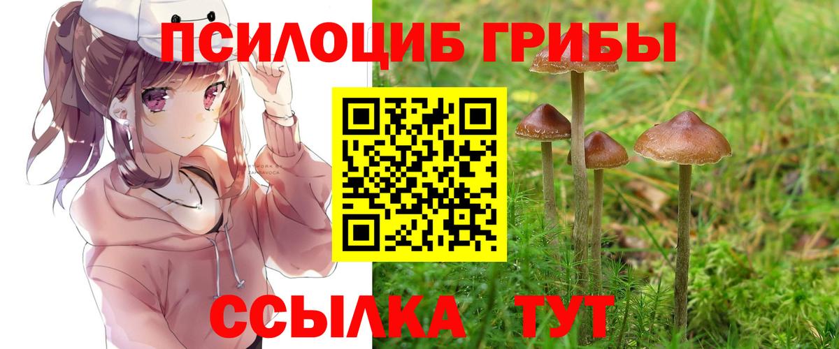 Орехово-Зуево  купить  цена  Вход с VPN  Галлюциногенные грибы прущие грибы 
